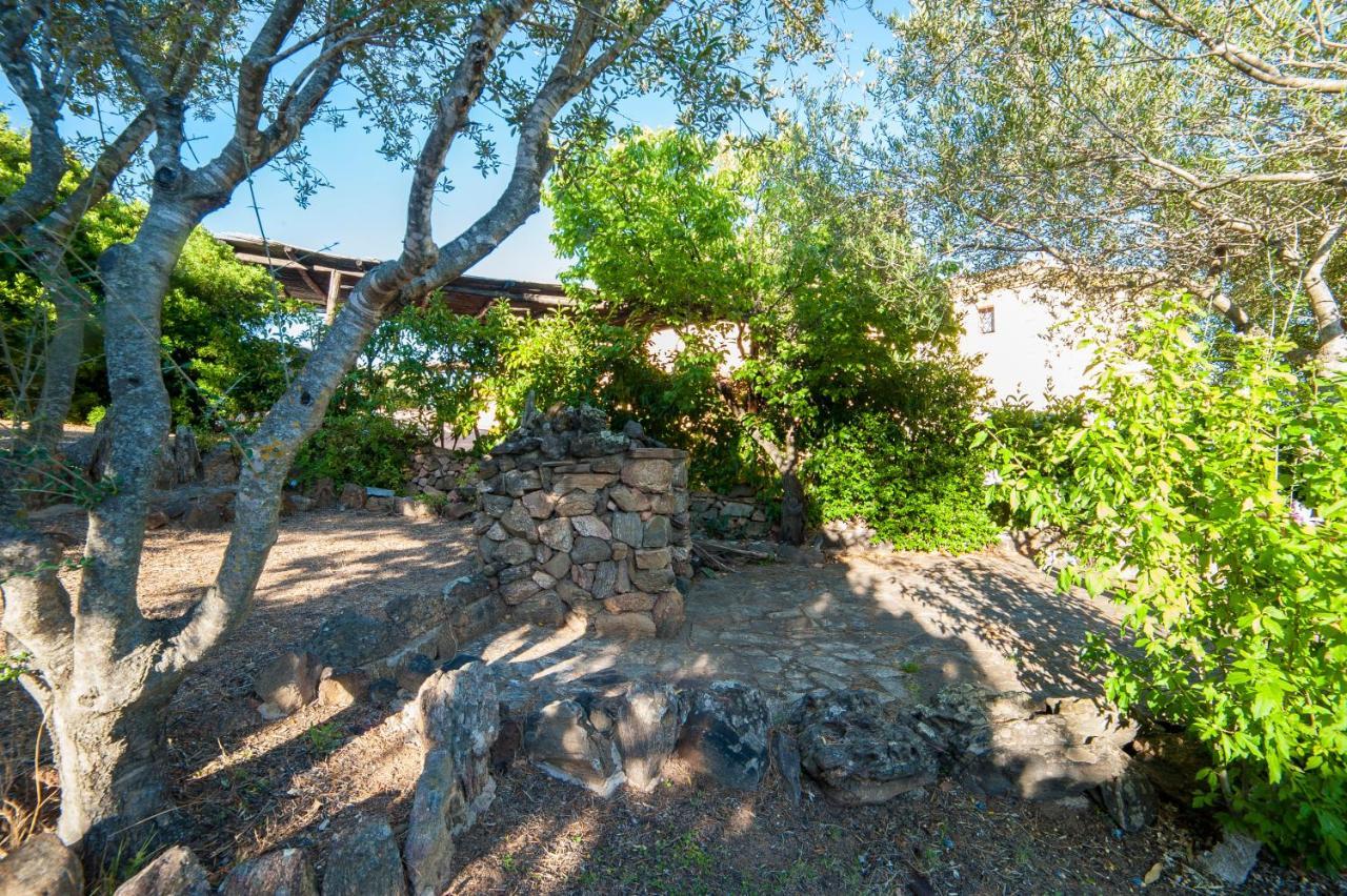 Villa Lilly Olbia Exterior photo